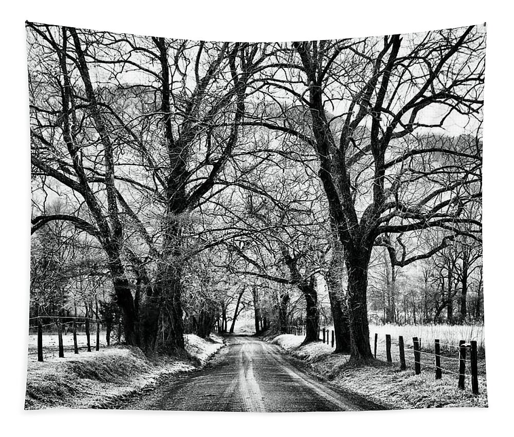 Cades Cove Tapestry featuring the photograph Sparks Lane During Winter by Carol Montoya