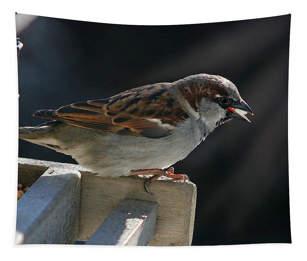 Sparrow Tapestry featuring the photograph Sparrow 6 by Susan McMenamin