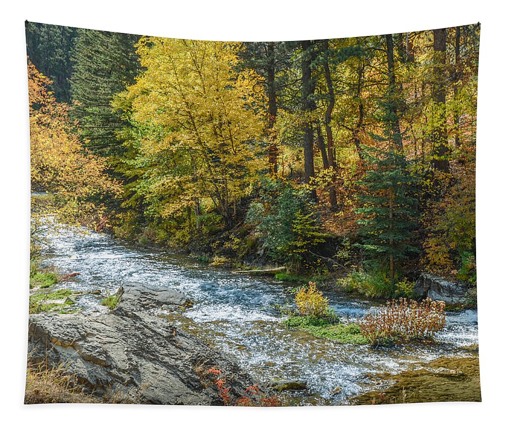 Dakota Tapestry featuring the photograph Spearfish Creek Autumn by Greni Graph