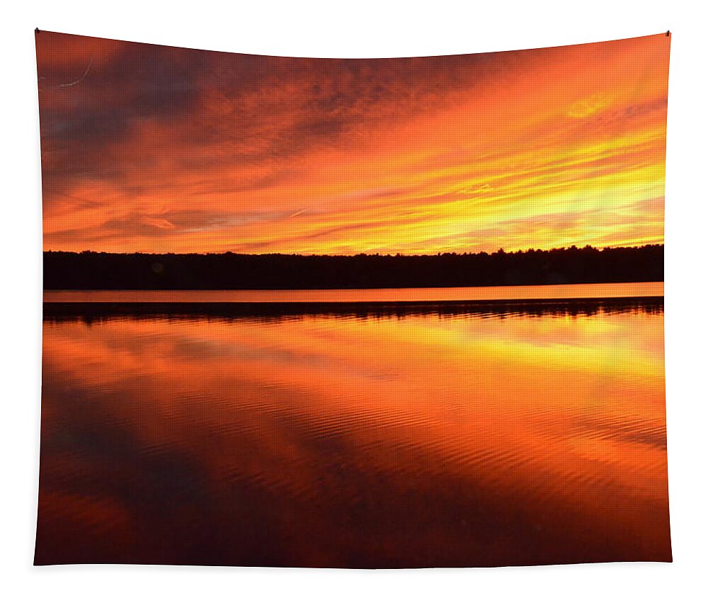 Lake Tapestry featuring the photograph Spectacular Orange Mirror by Cindy Greenstein
