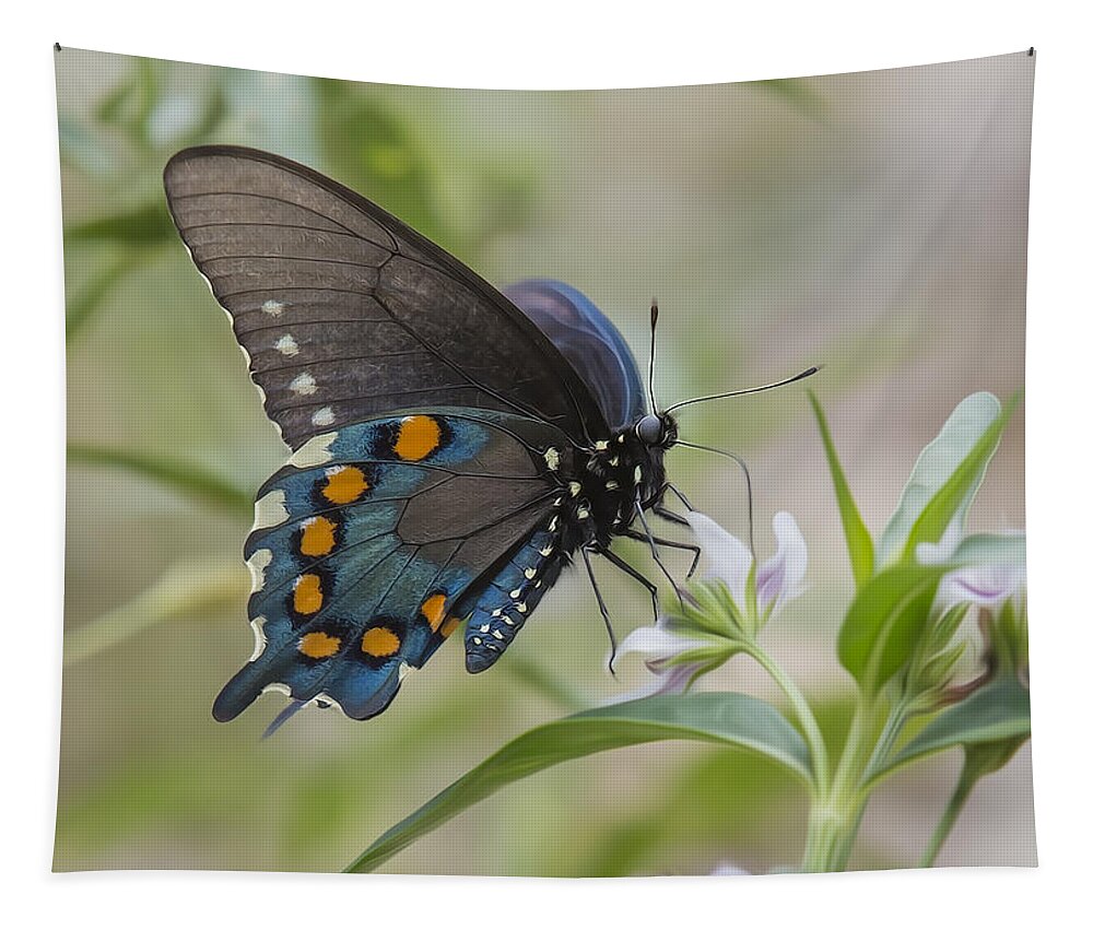 Insect Tapestry featuring the photograph Spicebush In Wildflowers by Bill and Linda Tiepelman