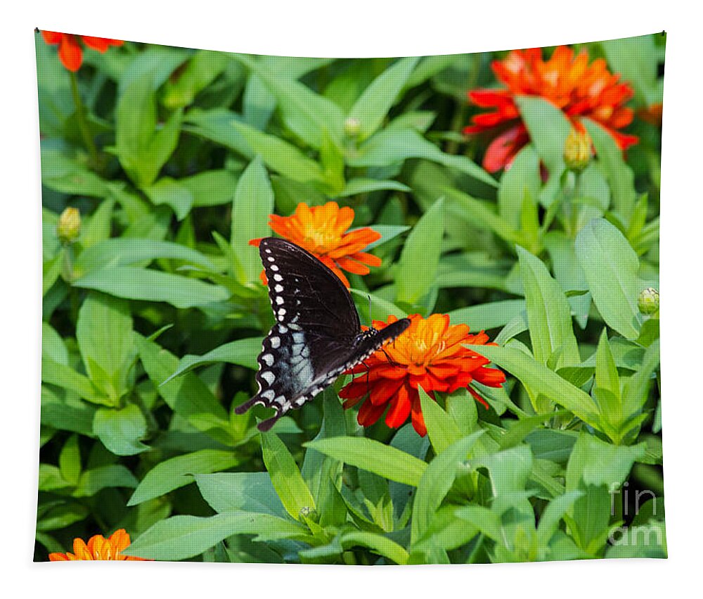 Spicebush Tapestry featuring the photograph Spicebush Swallowtail by Angela DeFrias