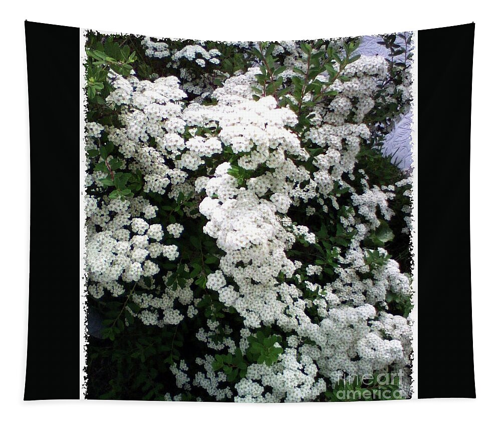 White Spirea Tapestry featuring the photograph Spirea Bridal Veil by Barbara A Griffin