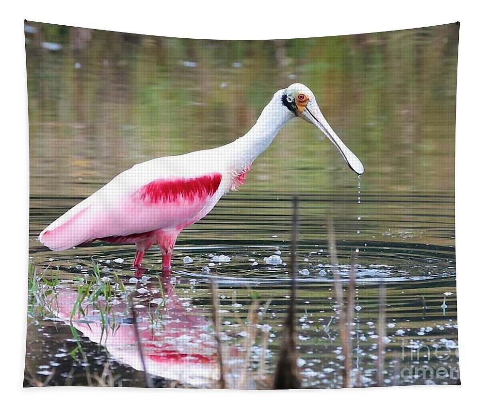 Spoonbill Tapestry featuring the photograph Spoonbill in the Pond by Carol Groenen