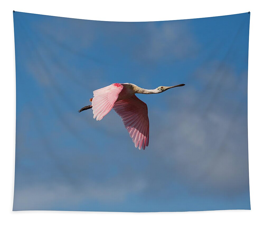 Roseate Spoonbill Tapestry featuring the photograph Spoonie in Flight by John M Bailey