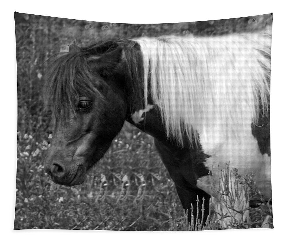 Pony Tapestry featuring the photograph Spotted Pony by Joyce Wasser