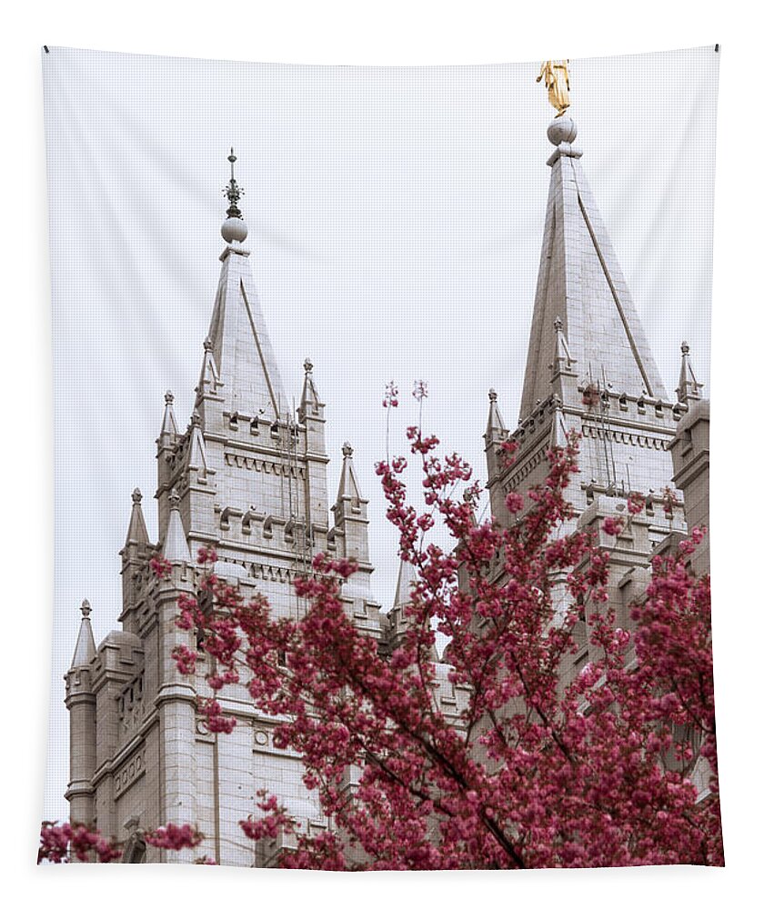 Spring At The Temple Tapestry featuring the photograph Spring at the Temple by Chad Dutson