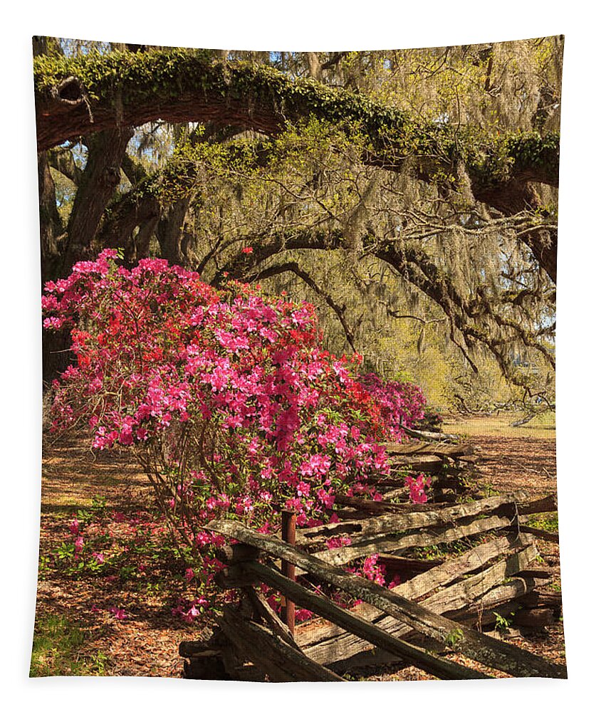 Azalea Tapestry featuring the photograph Spring Beauty by Patricia Schaefer