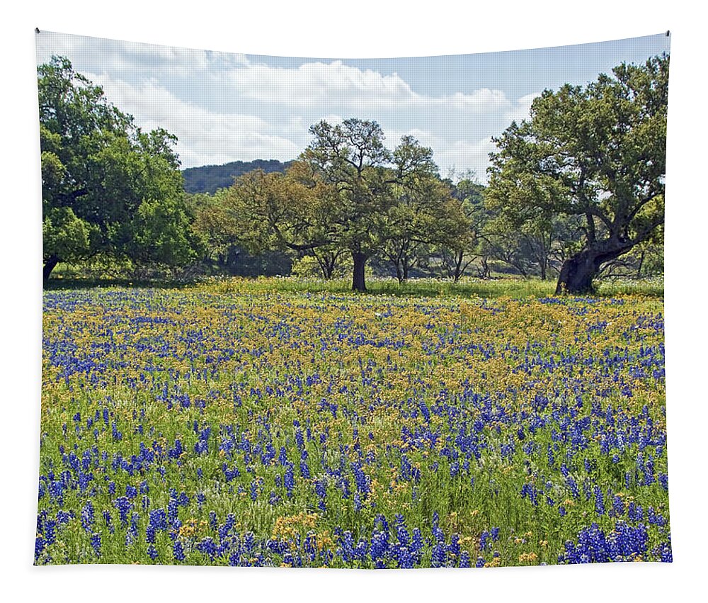 Yellow Tapestry featuring the photograph Spring in the Texas Hill Country by Gary Holmes