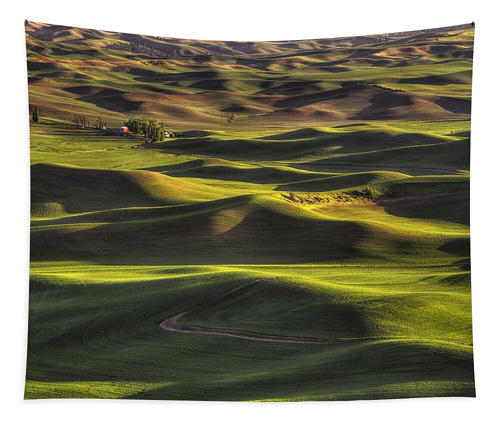 Wheat Tapestry featuring the photograph Spring on the Palouse by Mark Kiver