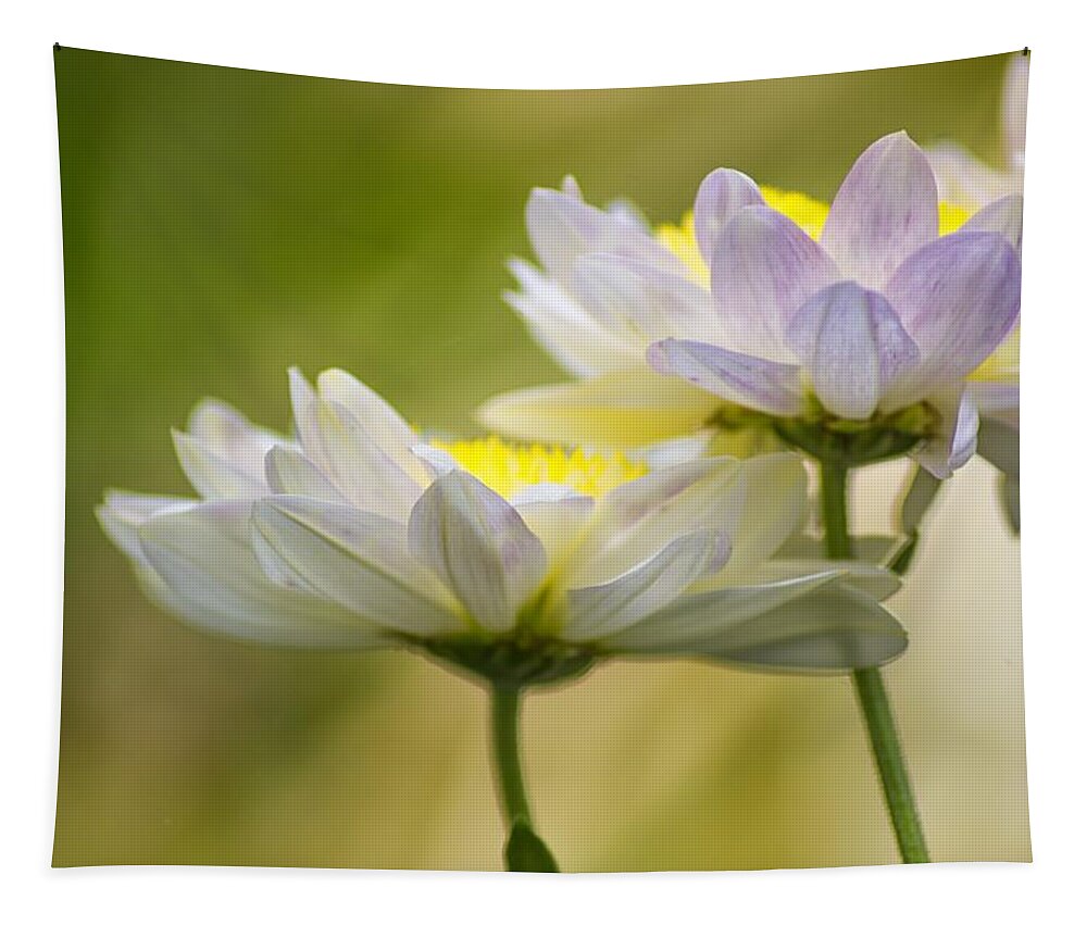 Flower Tapestry featuring the photograph Spring by Paulo Goncalves