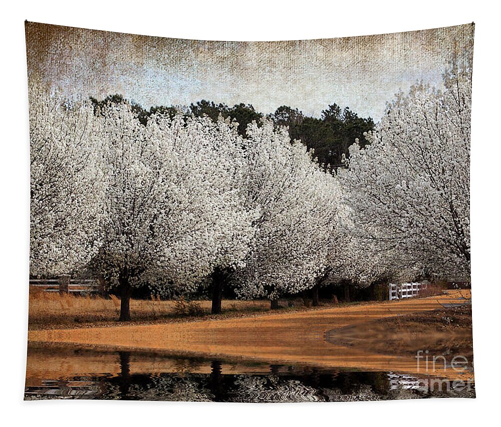 Flowers Tapestry featuring the photograph Spring Pear Blossoms by Kathy Baccari