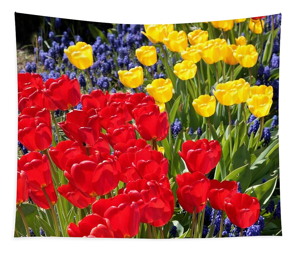 Spring Tapestry featuring the photograph Spring Sunshine by Carol Groenen