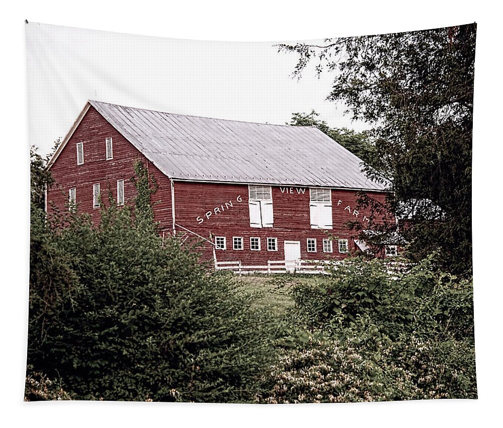 Barn Tapestry featuring the photograph Spring View Farm by Kristia Adams