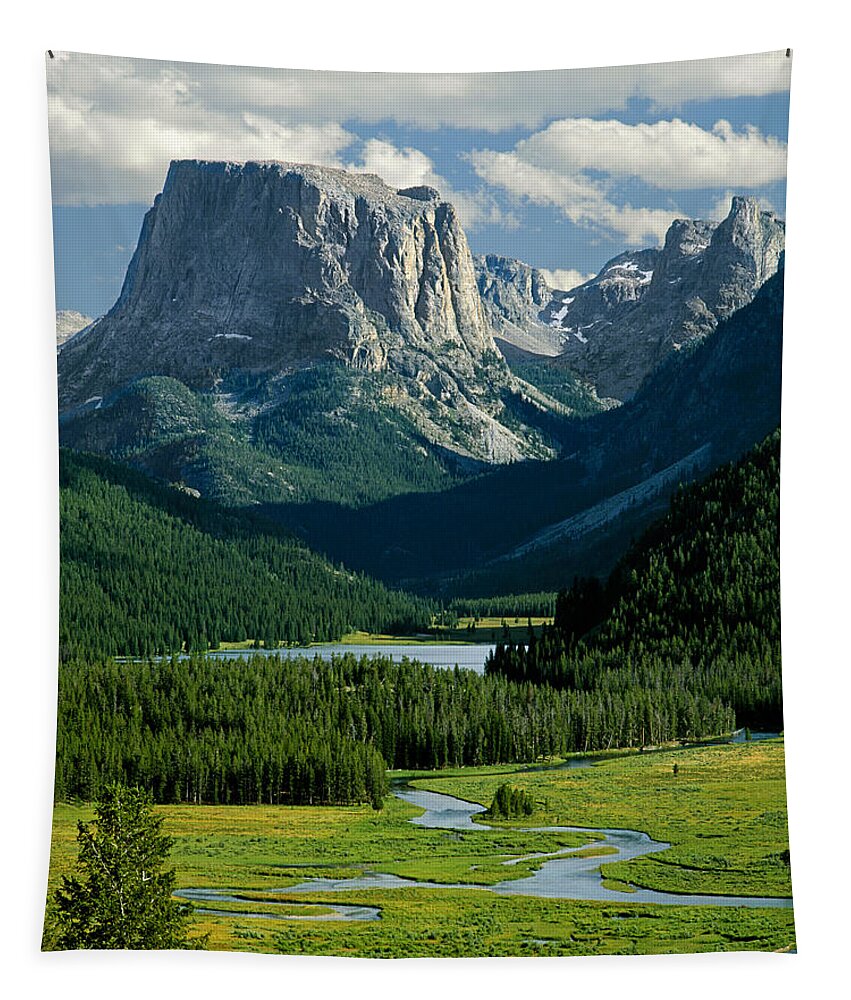 Squaretop Mountain Tapestry featuring the photograph Squaretop Mountain 3 by Ed Cooper Photography