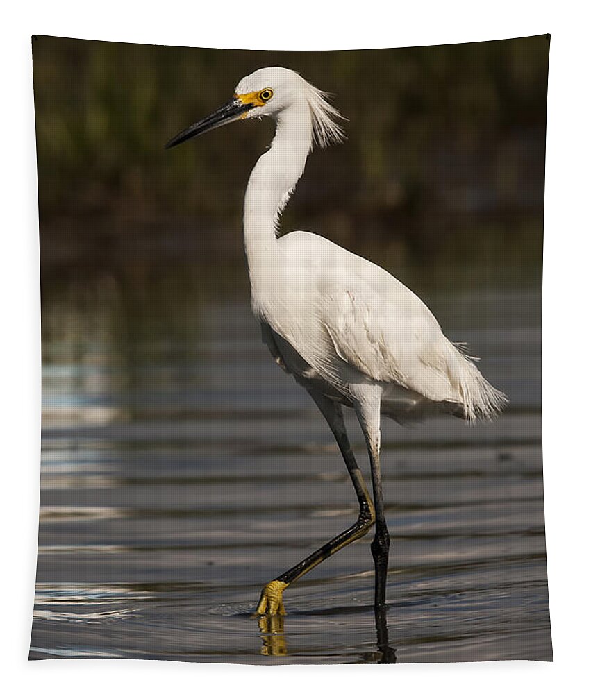 Snowy Egret Tapestry featuring the photograph Standing Tall by Bob Decker