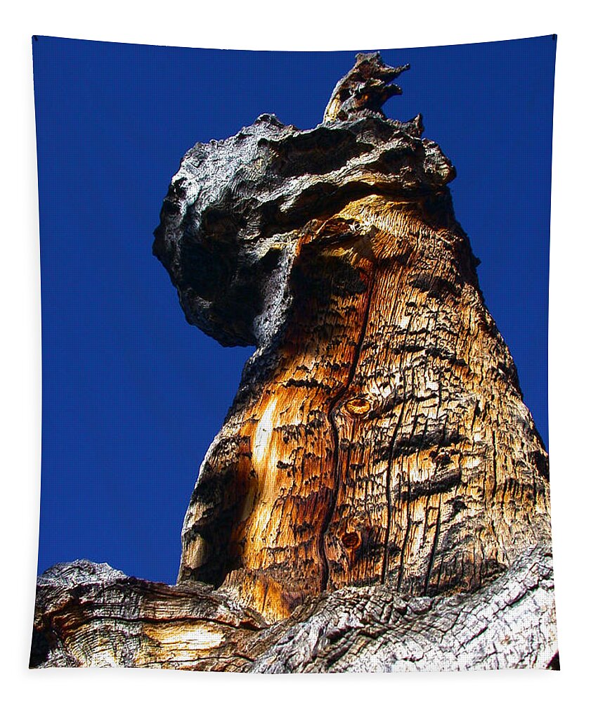 Tall Tapestry featuring the photograph Standing Tall by Shane Bechler