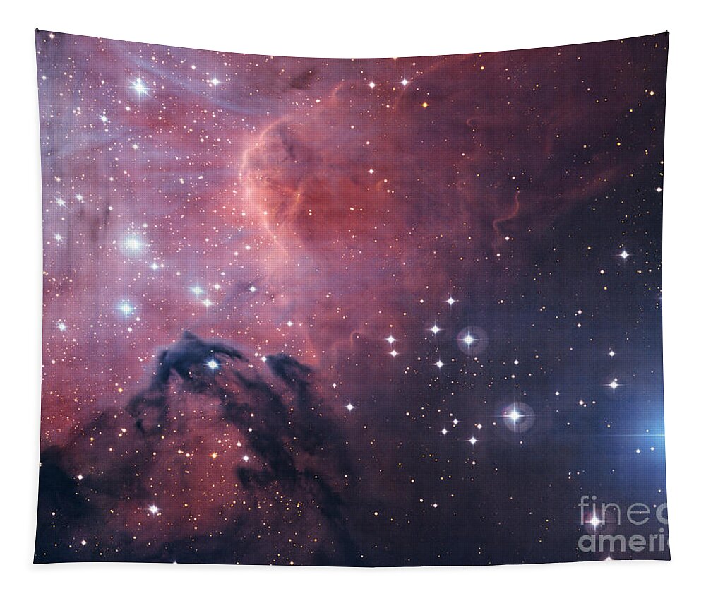 Science Tapestry featuring the photograph Star Formation Region Gum 15 by ESO/Science Source