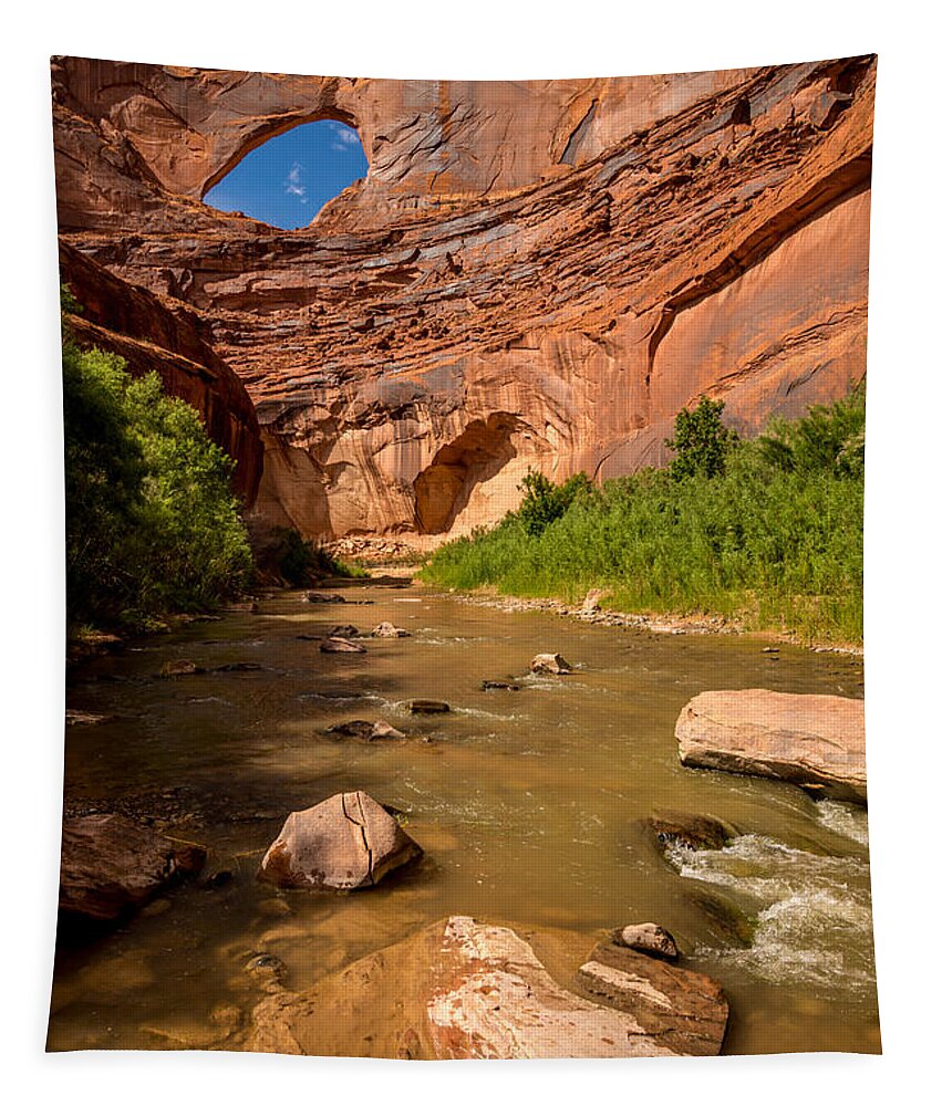 Stevens Arch Tapestry featuring the photograph Stevens Arch - Escalante River - Utah by Gary Whitton