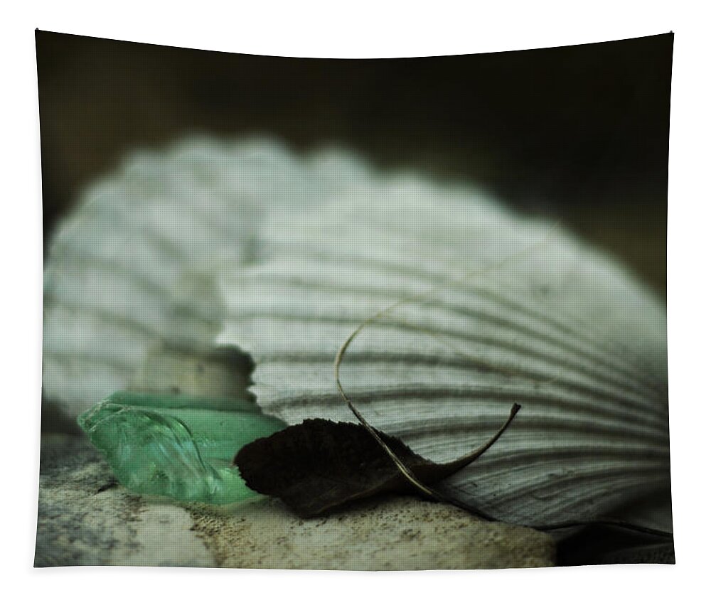 Miocene Tapestry featuring the photograph Still Life with Fossil Shells and Beach Glass by Rebecca Sherman
