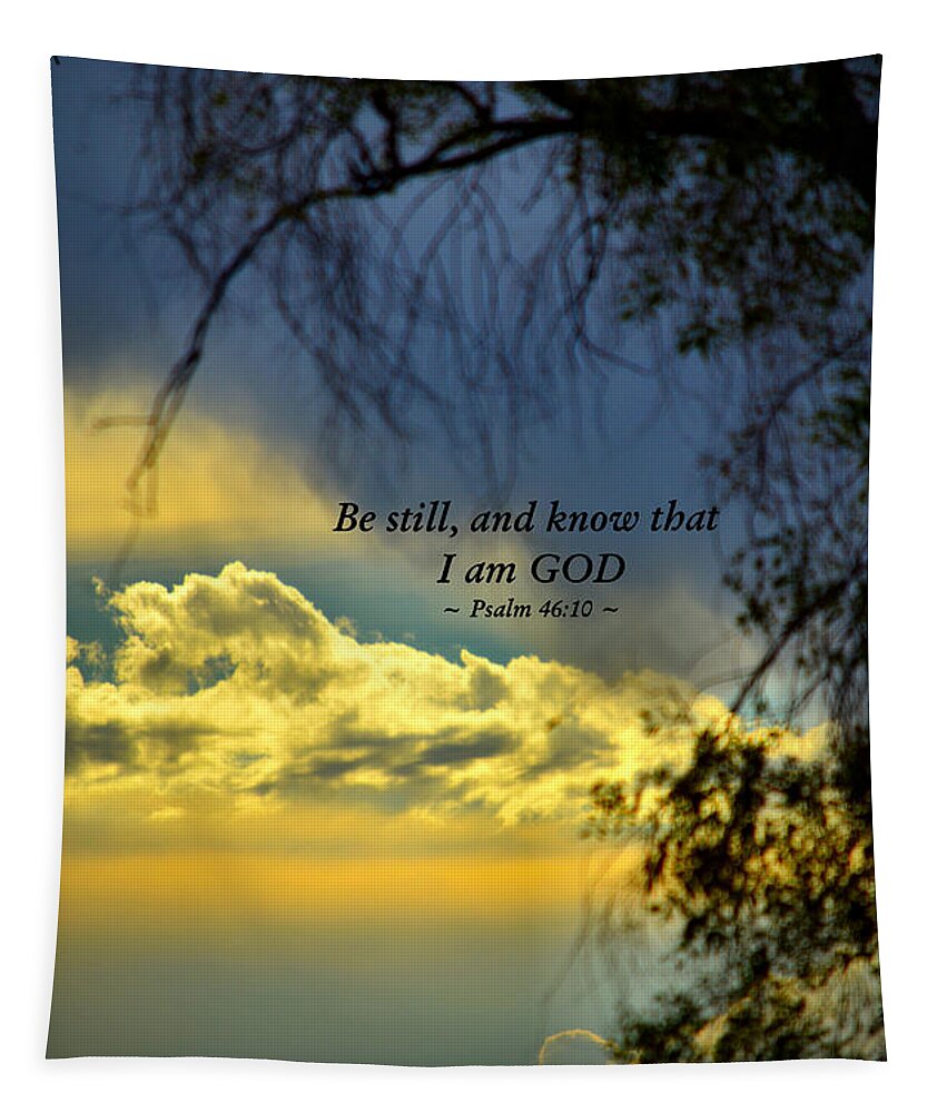 Beams Tapestry featuring the photograph Stillness by Deb Halloran