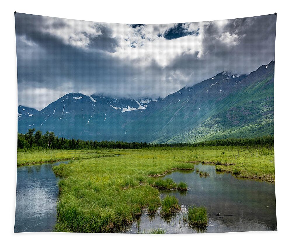 Alaska Tapestry featuring the photograph Storm Over The Mountains by Andrew Matwijec