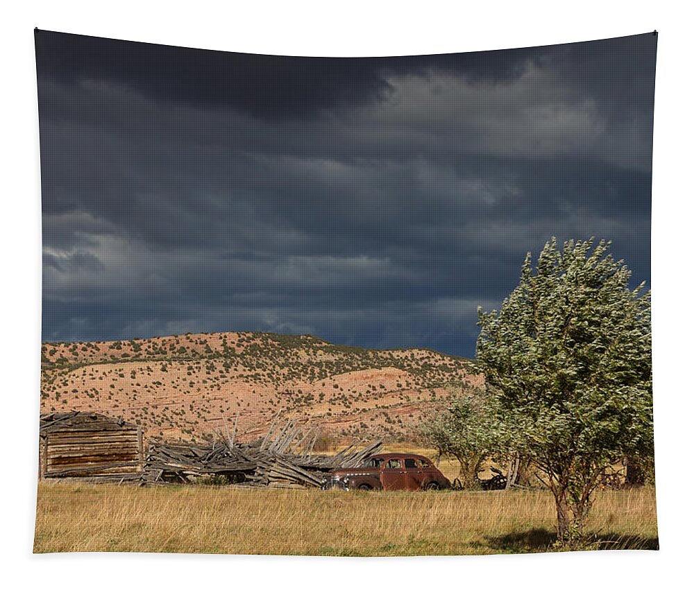 Chevrolet Tapestry featuring the photograph Storm Whipping Desert Homestead by Kathleen Bishop