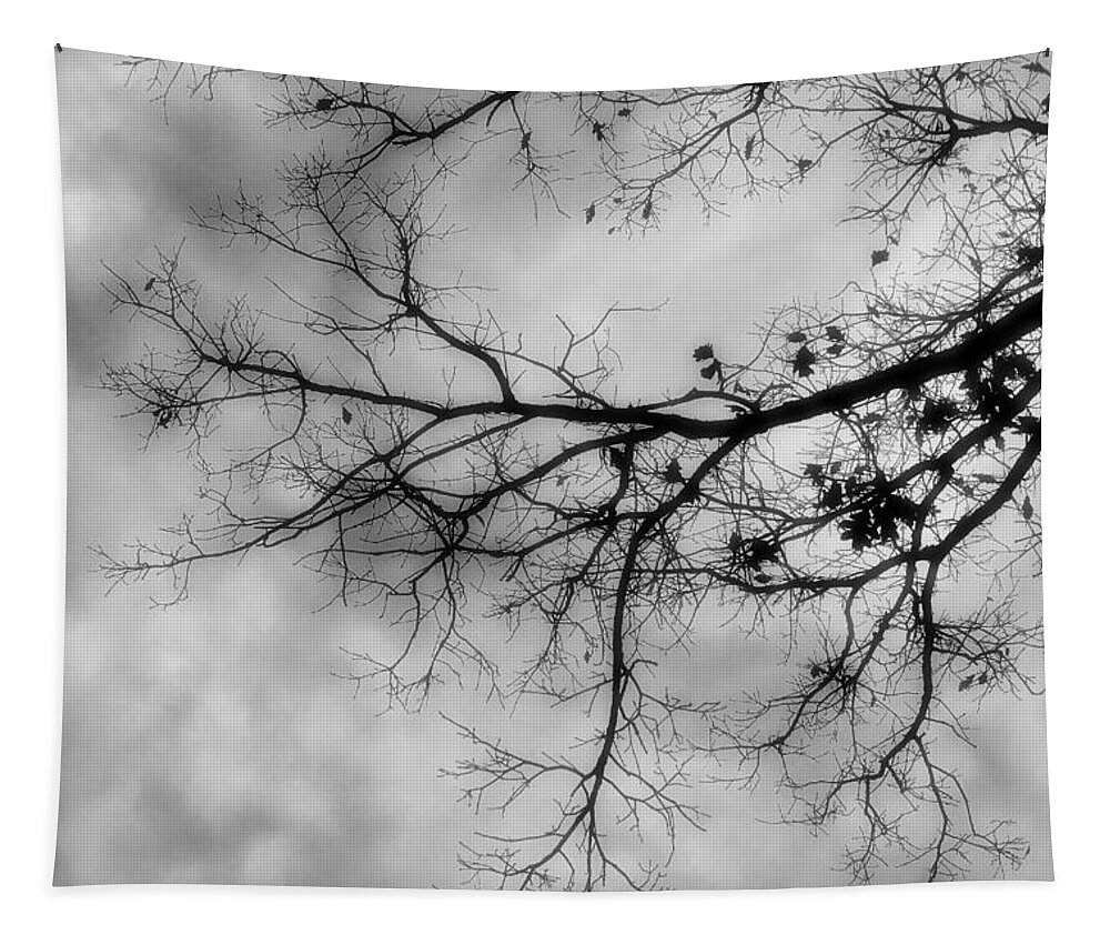 Storm Tapestry featuring the photograph Stormy Morning In Black And White by Denise Beverly