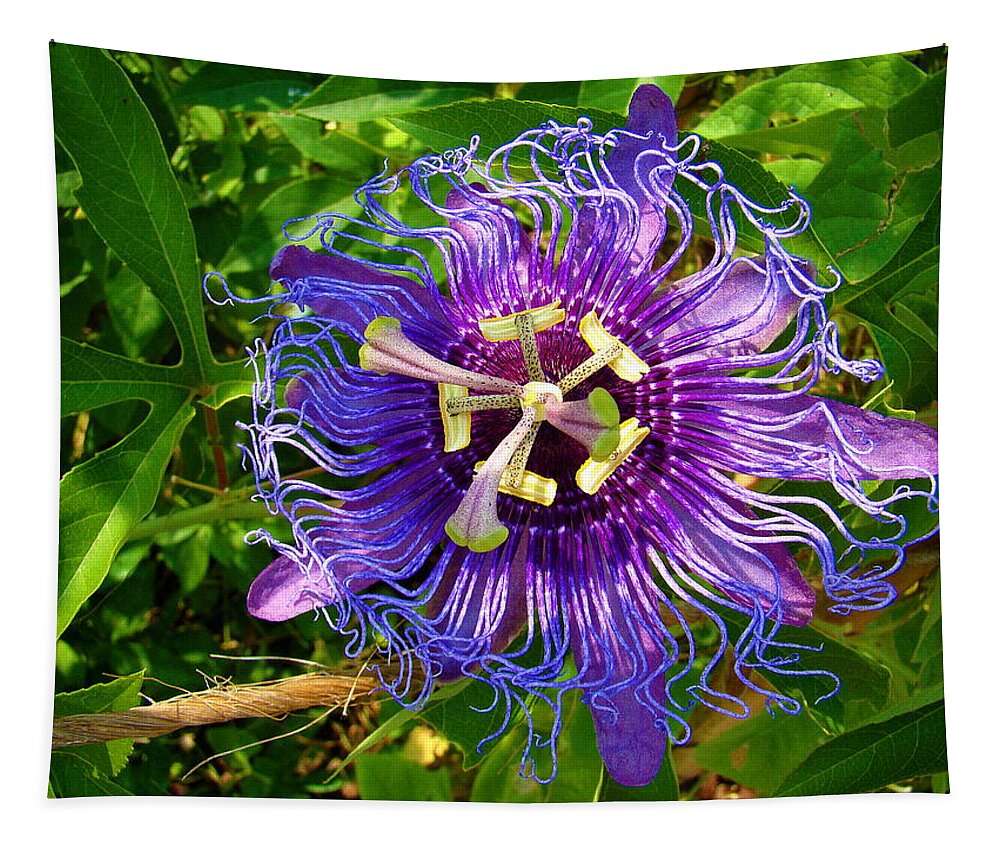 Fine Art Tapestry featuring the photograph Strange Passion by Rodney Lee Williams