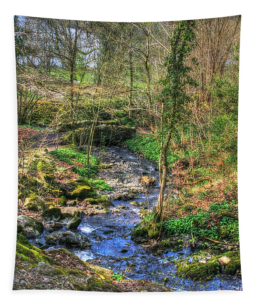Road Tapestry featuring the photograph Stream In Wales by Doc Braham