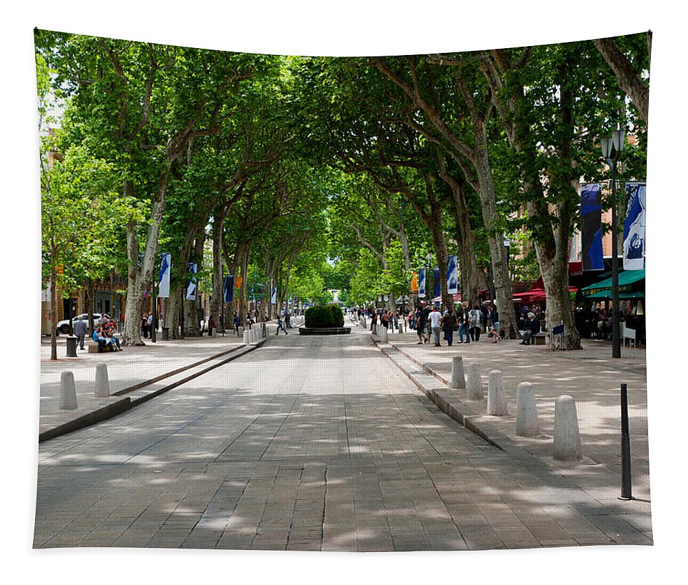 Photography Tapestry featuring the photograph Street Scene, Cours Mirabeau by Panoramic Images