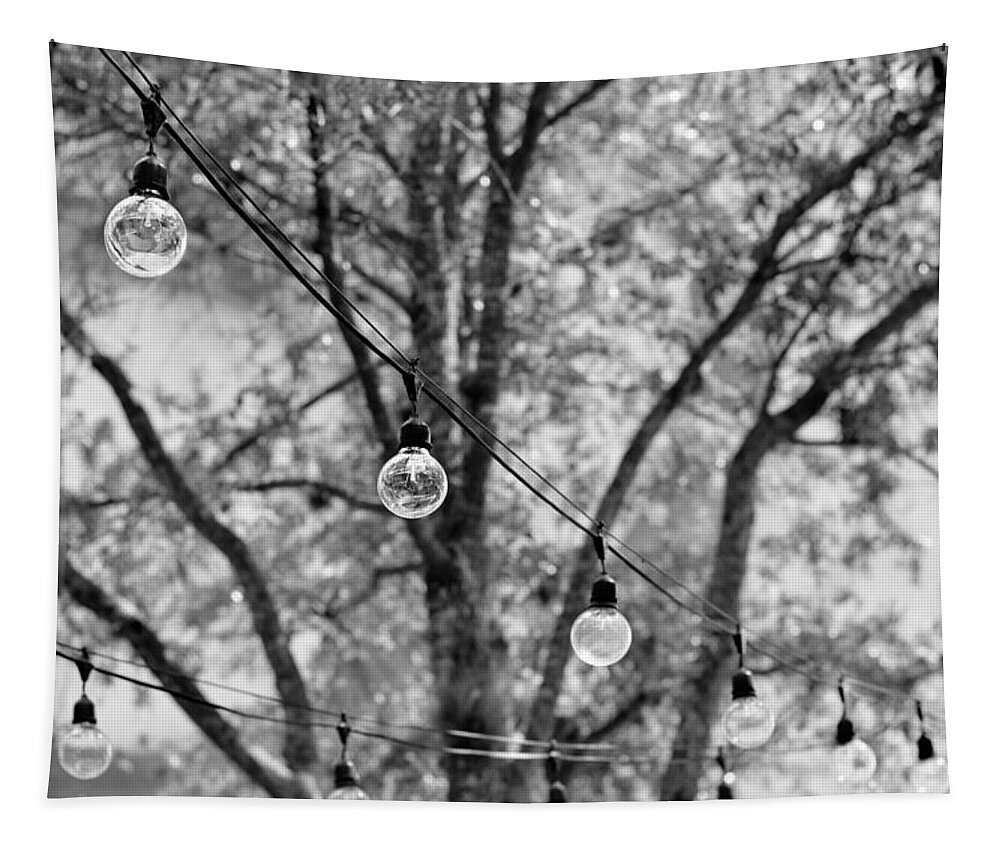 Tree Tapestry featuring the photograph String Lights by Laura Fasulo