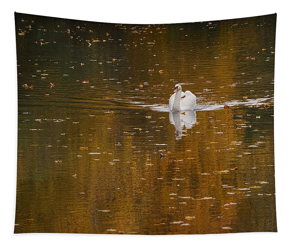 Cygne Tapestry featuring the photograph Strolling by Jean-Pierre Ducondi