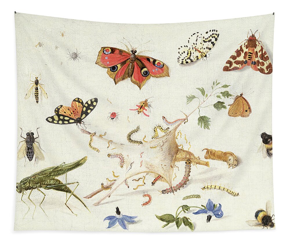 Insect Tapestry featuring the painting Study of Insects and Flowers by Ferdinand van Kessel
