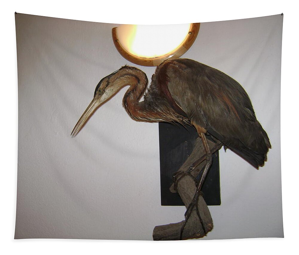 Birds Tapestry featuring the photograph Stuffed Bird by Moshe Harboun