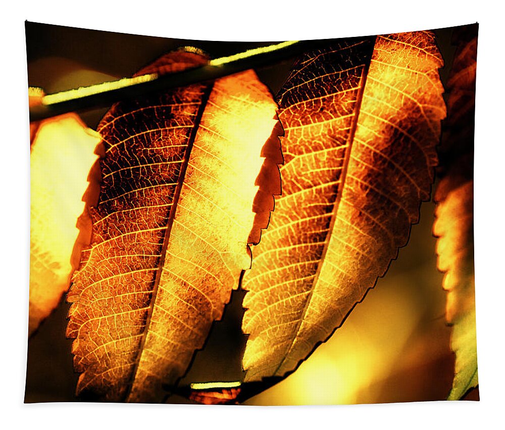 Leaf Tapestry featuring the photograph Sumac Gold by Mary Lane