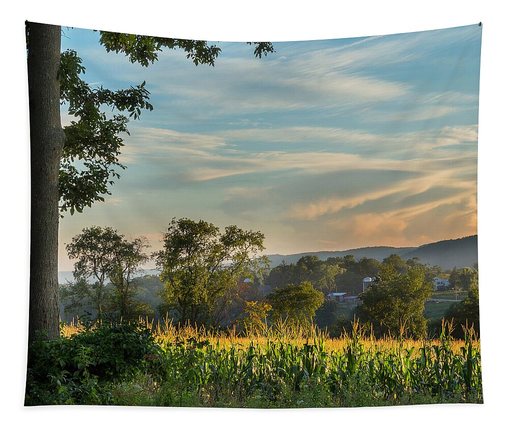 New England Landscape Tapestry featuring the photograph Summer Corn Square by Bill Wakeley