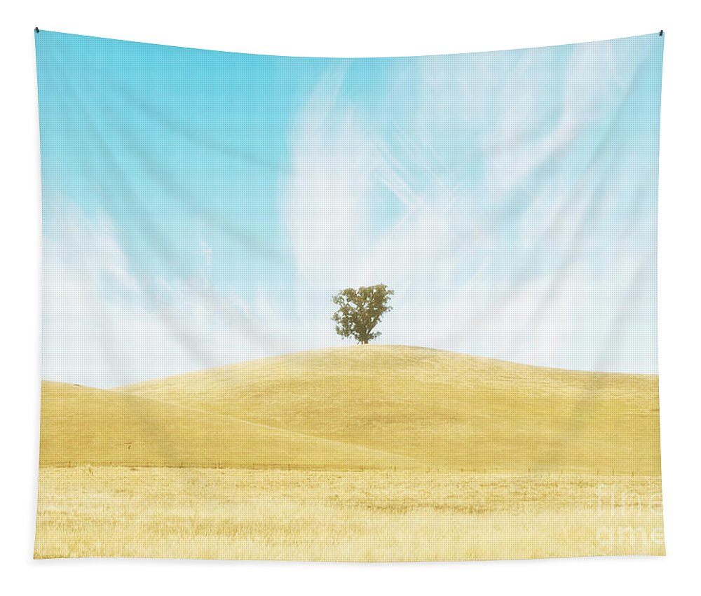 Hill Tapestry featuring the photograph Summer Dream by Linda Lees