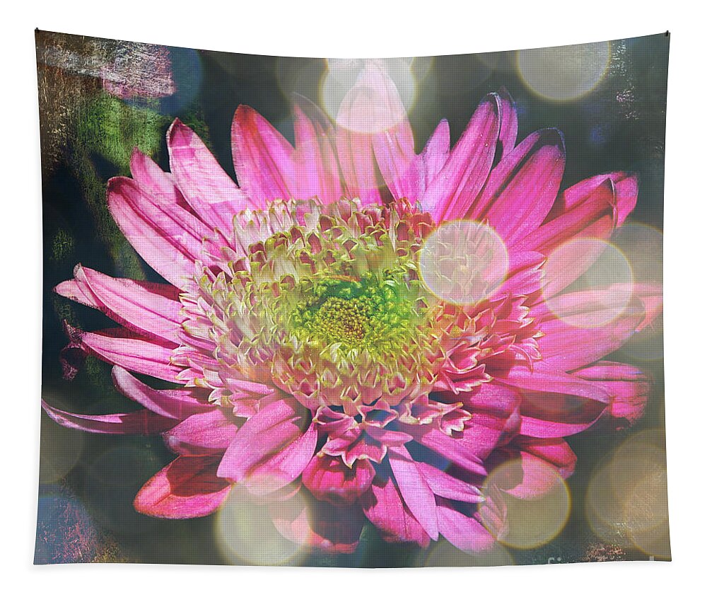 Flower Abstract Tapestry featuring the photograph Summer Dreaming by Carol Groenen