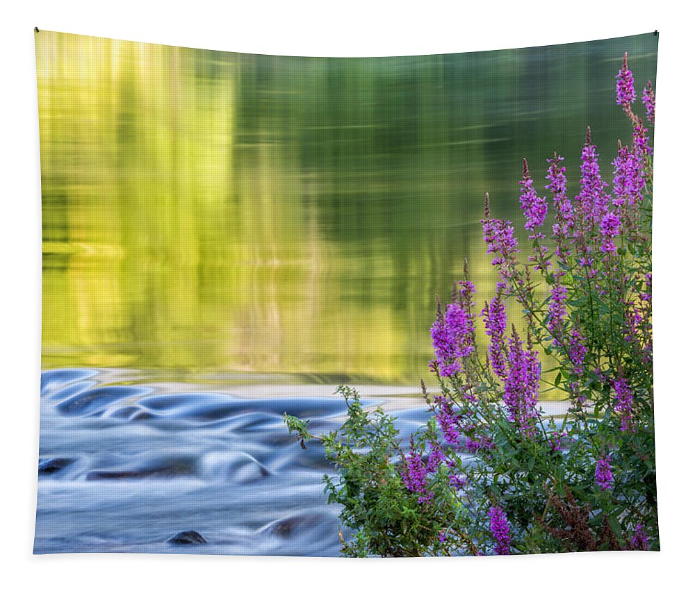 Reflection Tapestry featuring the photograph Summer Reflections by Bill Wakeley