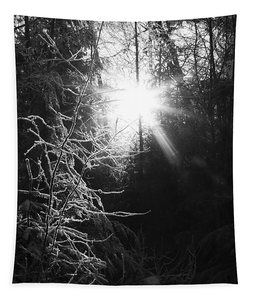 Alaska Tapestry featuring the photograph Sun and Frost by Michele Cornelius