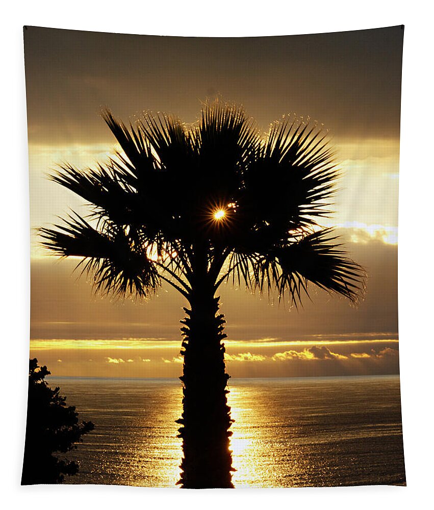 Royal Palms Tapestry featuring the photograph Sun and Palm and Sea by Joe Schofield