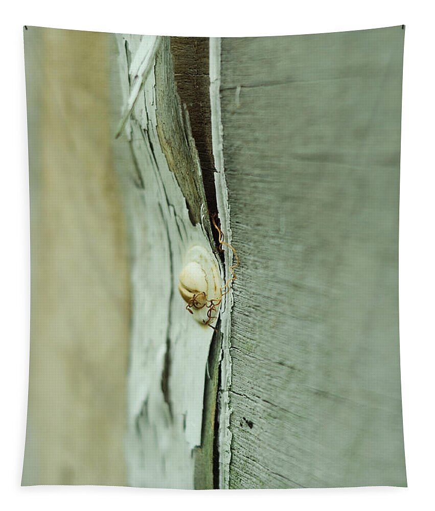 Weathered Tapestry featuring the photograph Sun Bleached by Rebecca Sherman