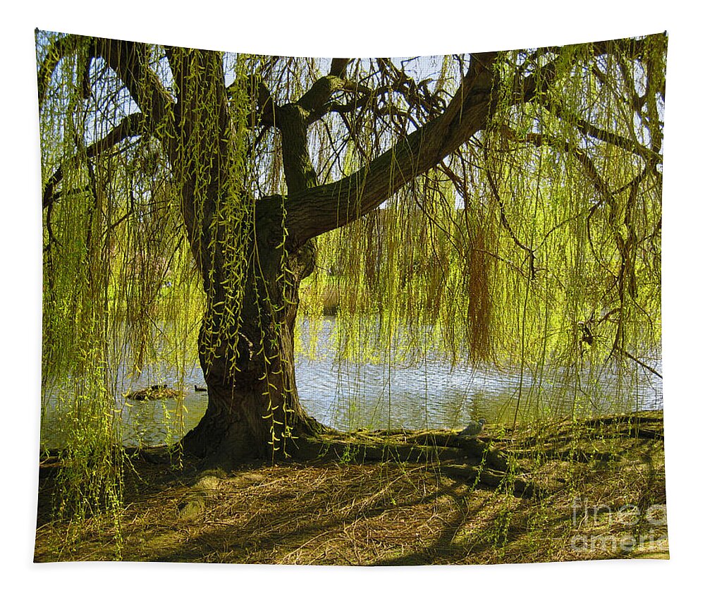 Tree Tapestry featuring the photograph Sunday In The Park by Madeline Ellis