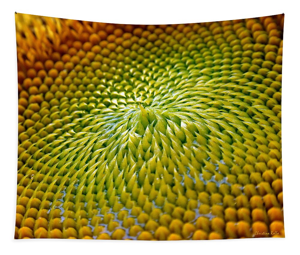 Sunflower Tapestry featuring the photograph Sunflower by Christina Rollo