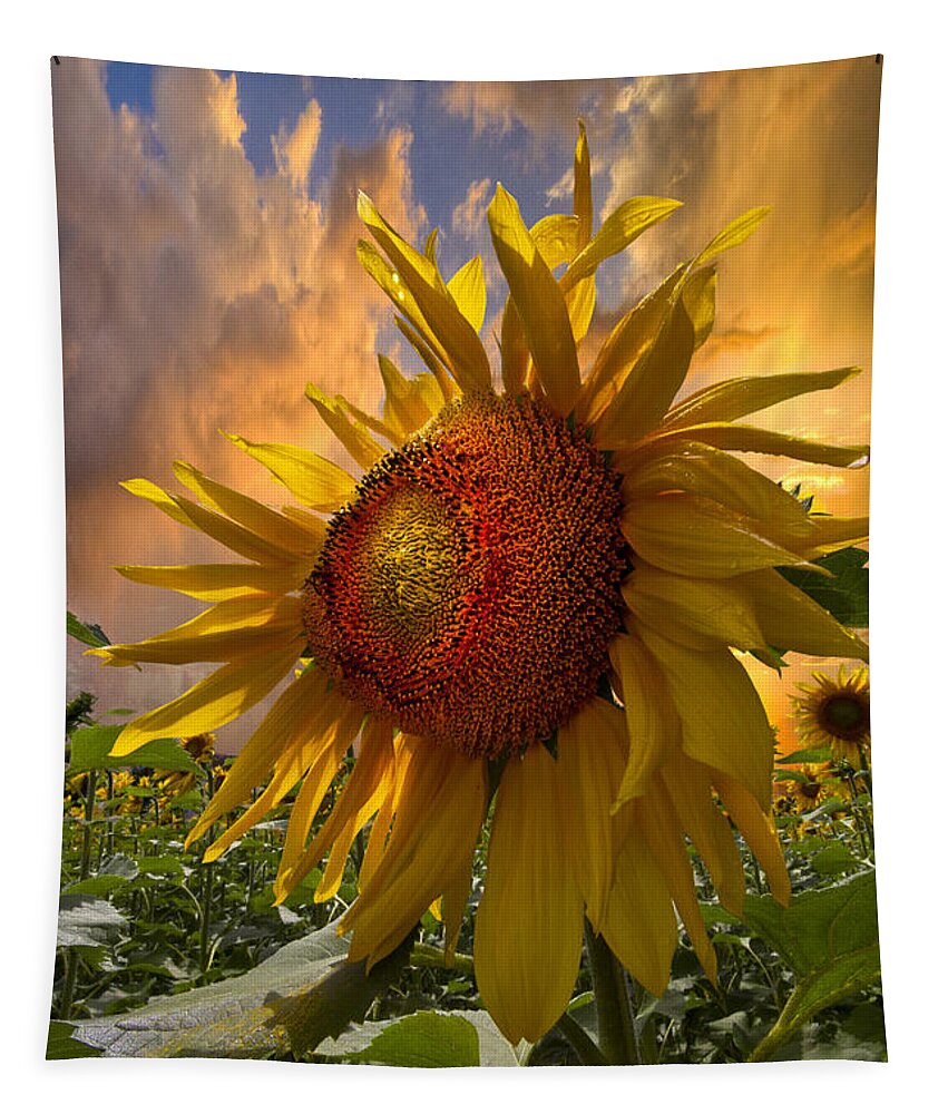 Appalachia Tapestry featuring the photograph Sunflower Dawn by Debra and Dave Vanderlaan