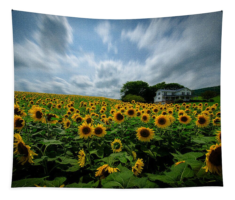 Sunflower Field Tapestry featuring the photograph Sunflower field by Crystal Wightman