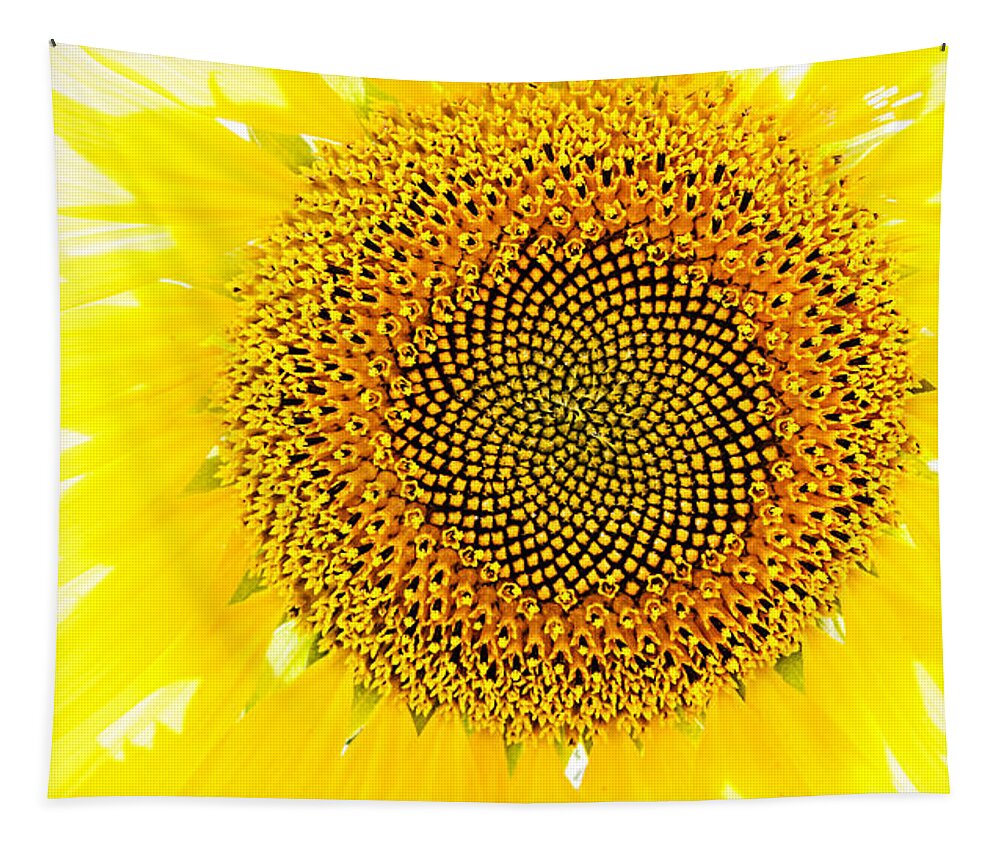 Sunflower Tapestry featuring the photograph Sunflower in the Summer Sun by Weston Westmoreland