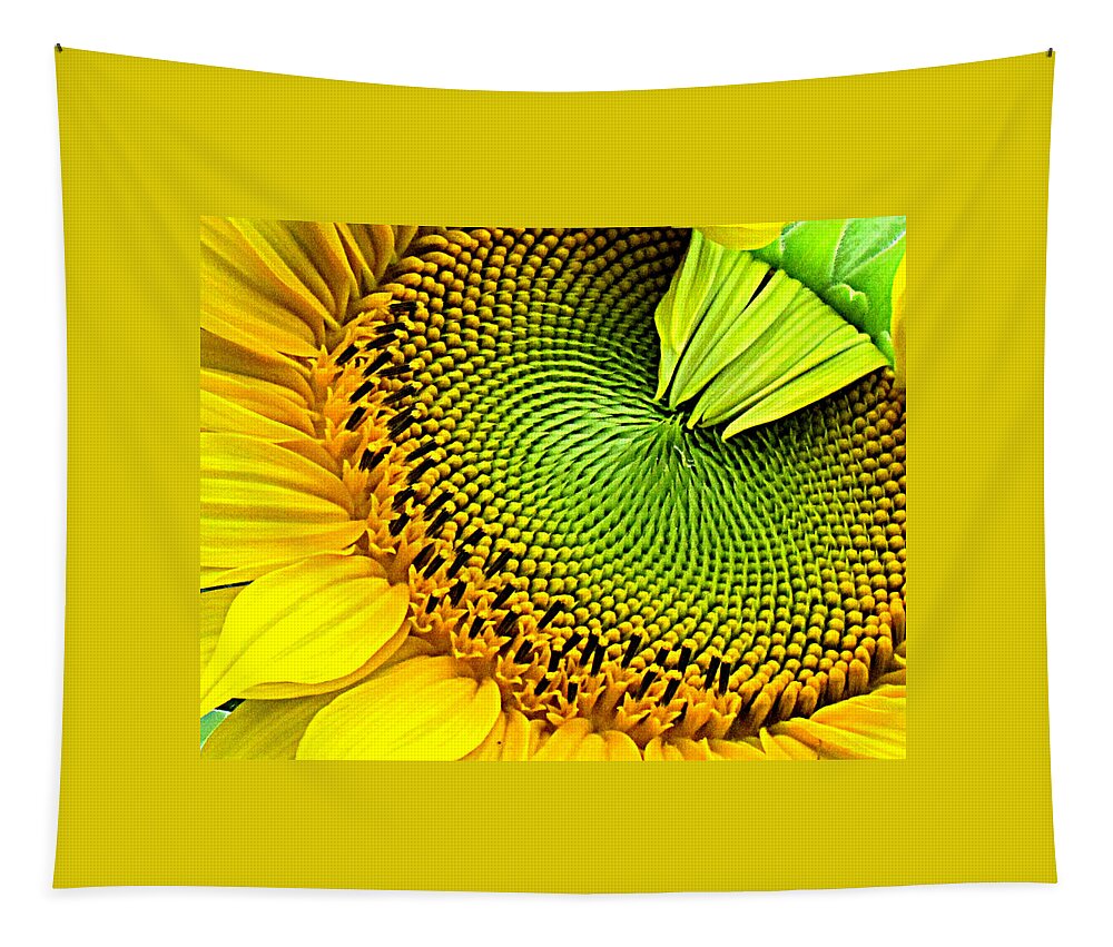 Flowers Tapestry featuring the photograph Kaleidescope Sunflower by Lori Lafargue