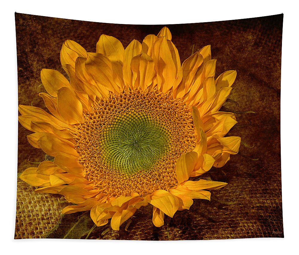 Suflower Tapestry featuring the photograph Sunflower Light by Phyllis Denton